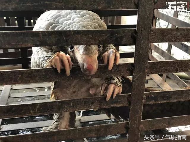 朋友圈里卖低价服装的真相,朋友圈代购真实案例