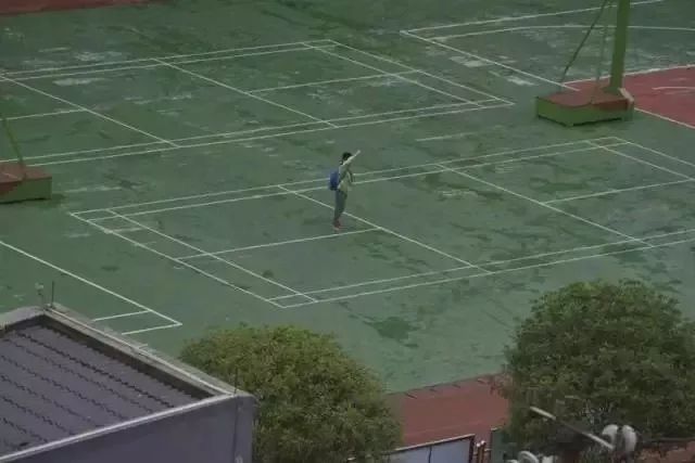 男子踩踏国旗获刑十月分析,一男子践踏五星红旗