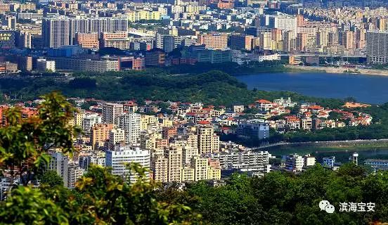 习*平近**总书记都记着的宝安,你怎能不关注呢?