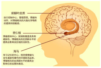高考后心理压力专家来支招,高考脑科学