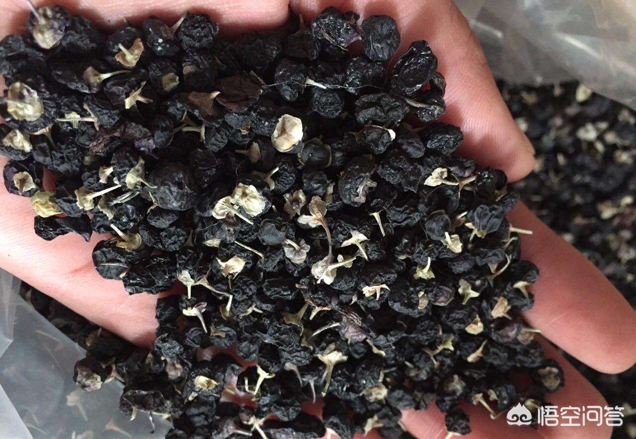 黑枸杞是新鲜的好还是陈年的好,黑枸杞是不是野葡萄