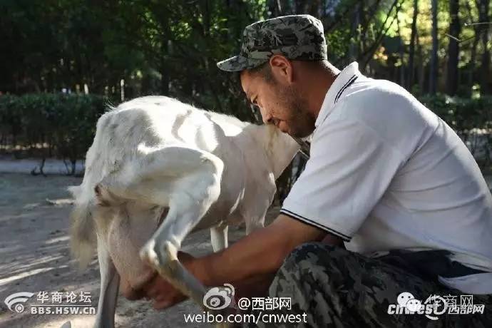 西安一女子遭飞车抢劫,陕西西安女子手机被碾后续