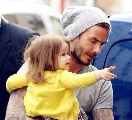 世界之最小公举盘点|波妹夜话