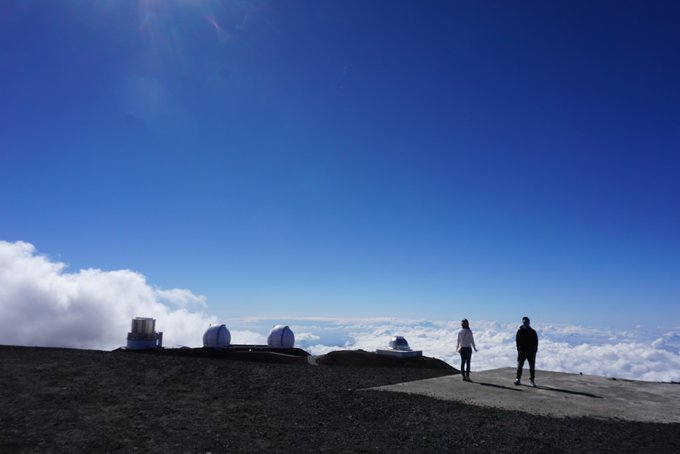 没有意外是哪句电影台词,夏威夷旅行说明
