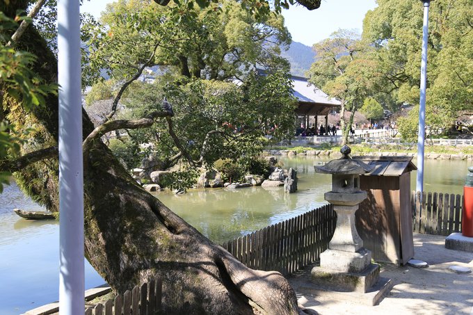 一家老小向前冲840集在哪里看,一家老小向前冲下集