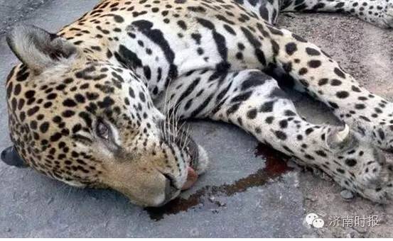 2022年6月24日新闻早报读报简报,6月23日新闻联播文字版