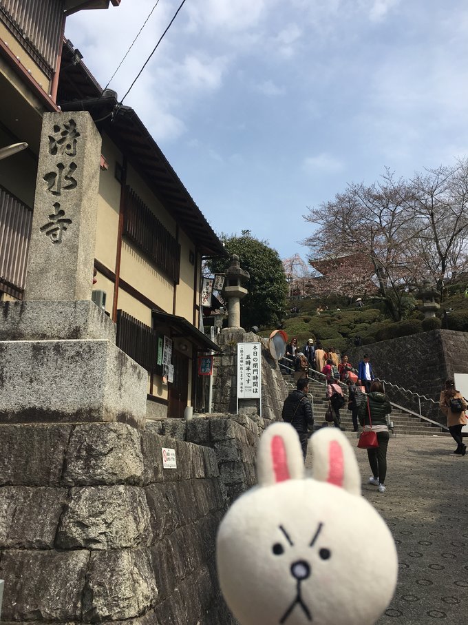 16年,关西(大阪,奈良,京都,宇治)樱花,甲子园