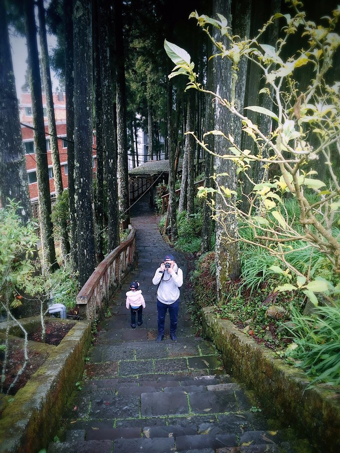 老爸追梦之旅,父亲的圆梦之旅