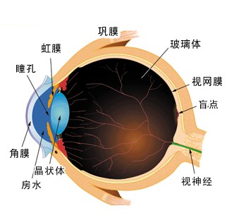 近视激光手术前需要滴多久眼药水,近视也还用测眼压吗