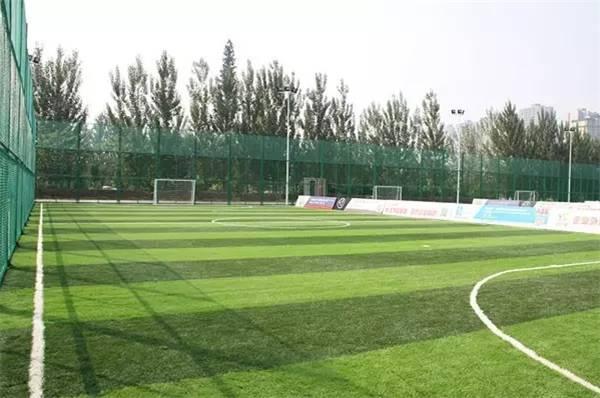 欧洲杯足球在哪里踢得好,2024年欧洲杯足球场一览表最新版