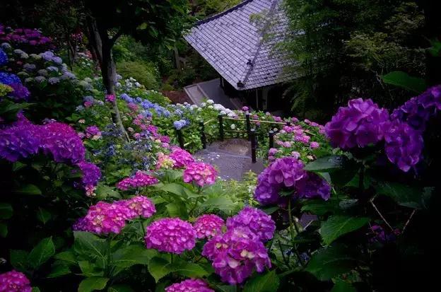 现在的日本是什么样的,现在的日本广岛什么样子