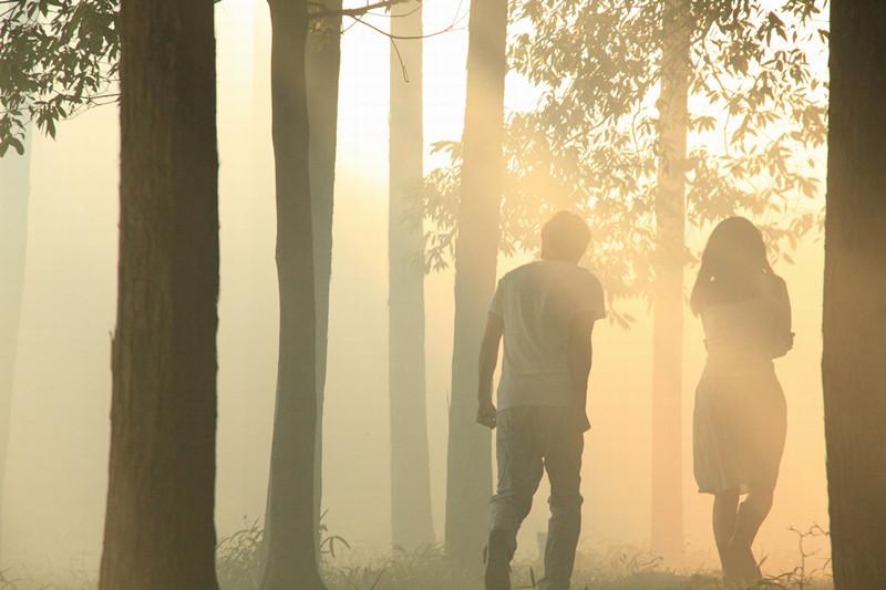 读过村上春树,看过村上春树的挪威的森林吗