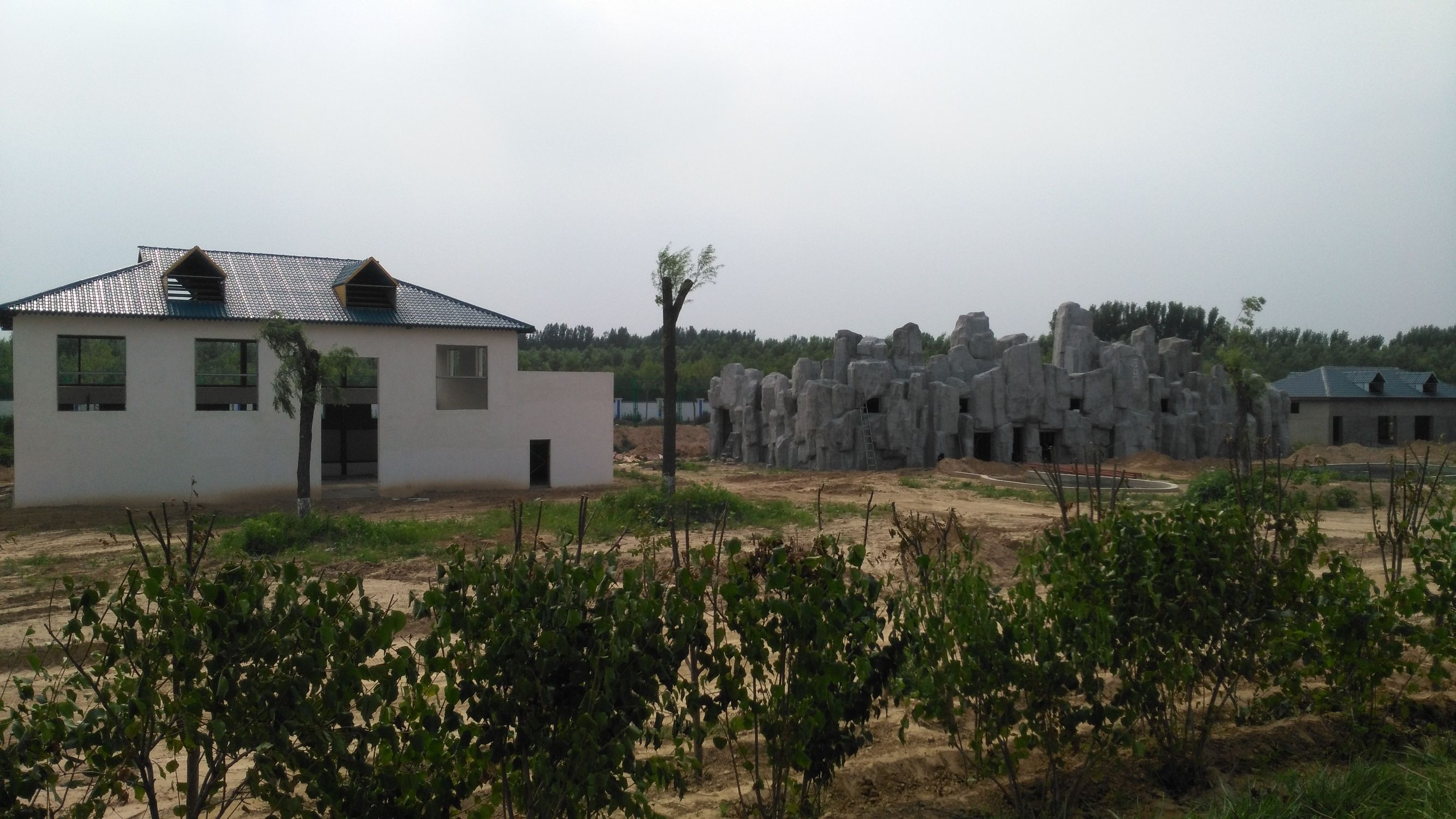 德州市哪个动物园比较好,德州市动物园最新消息