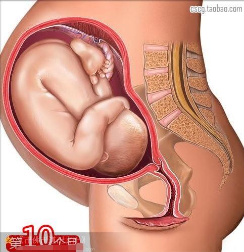 受益匪浅新手爸妈必读