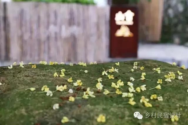 最迷人的风景令人陶醉,杭州十大秋色秘境小镇