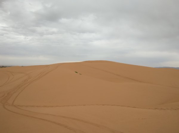 爸爸去哪儿旅游打卡,爸爸去哪儿宁夏中卫沙坡头