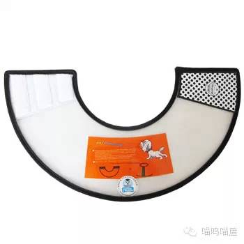 关于猫癣的一些小知识,预防猫咪疾病知识贴