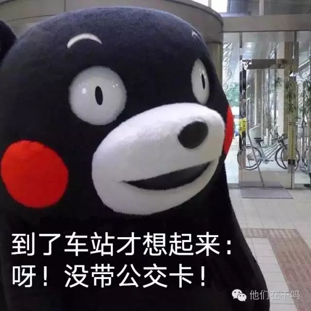 手机当公交卡要开通什么功能,手机能当公交卡吗