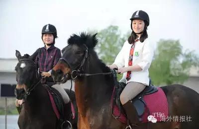 起底家门口的“洋学校”:一年学费几十万,拼爹也未必能读的上