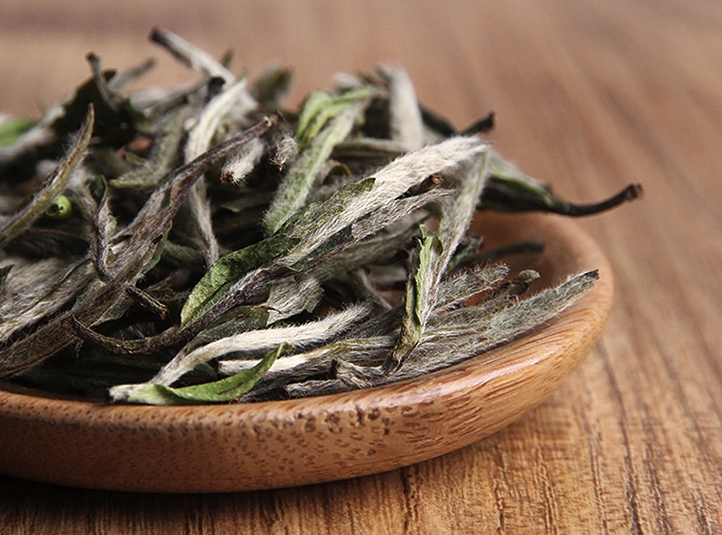 喂，福建白，你们家来了个亲戚叫云南白！