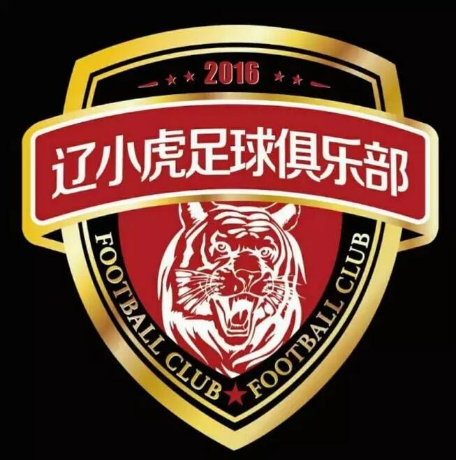 沈阳辽小虎足球青训,辽小虎足球俱乐部皇姑区