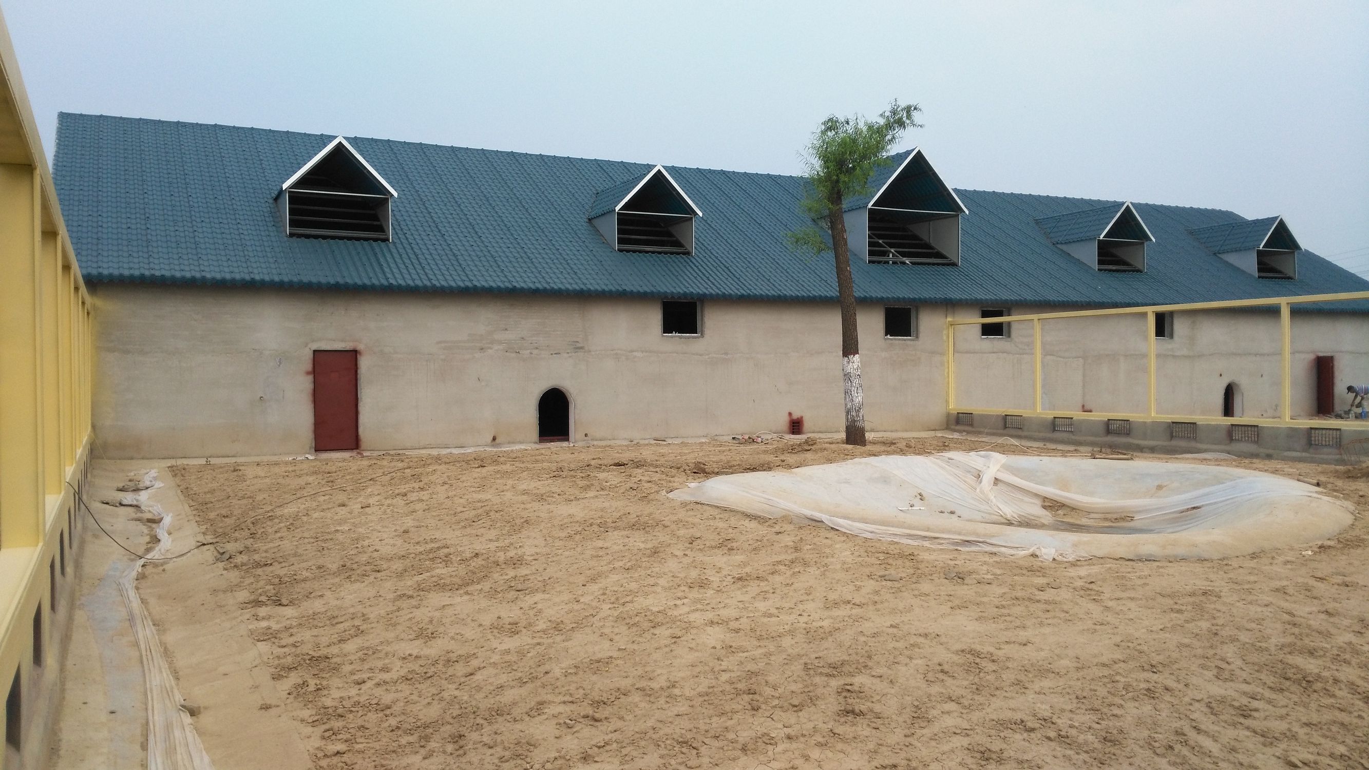 德州市哪个动物园比较好,德州市动物园最新消息