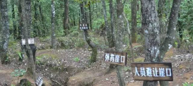 重走滇缅公路视频,纪念抗战胜利78周年重走滇缅公路