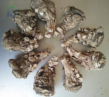 关于微商的最新规定,微信对微商的新政策