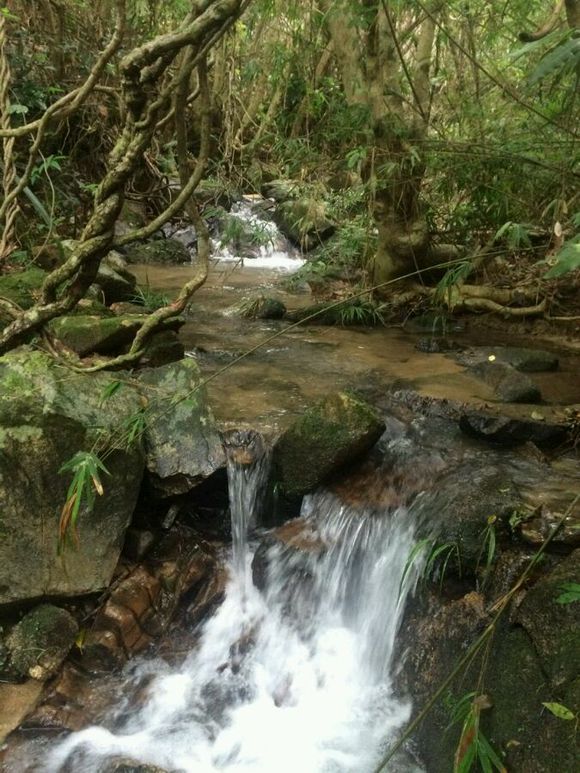 洞里发现玉石原石,洞里发现绿石