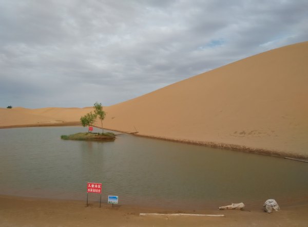 爸爸去哪儿旅游打卡,爸爸去哪儿宁夏中卫沙坡头
