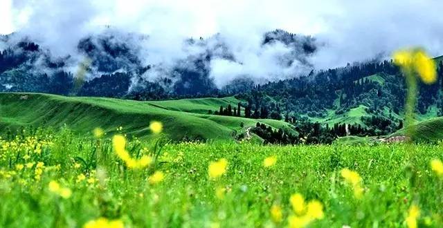 在*疆新**,睡觉是一种浪费?