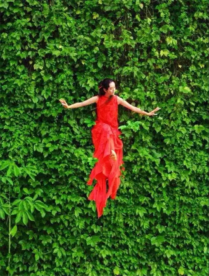 明星餐厅北京明星常去的餐厅,高颜值的明星餐厅