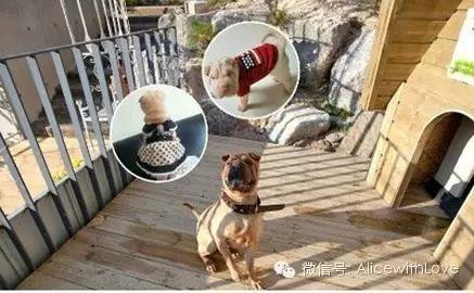 GD你这个有颜有钱有才华的心机boy,快来娶我吧