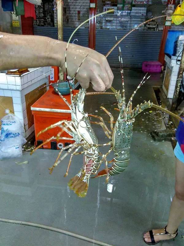 小蚁运动相机旅行,小蚁运动相机国外