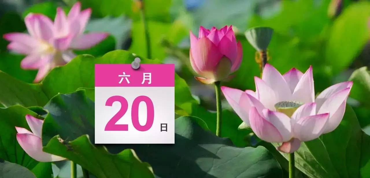 中山西区好消息,中山儿童公园近况