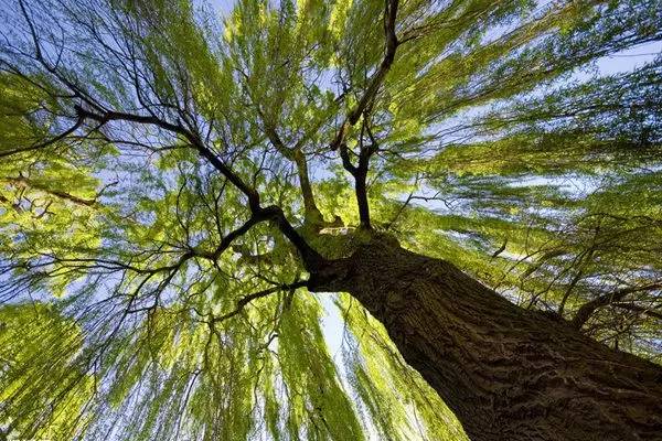 自强不息是哪所大学的校训,厚德尚学自强不息是哪个大学校训