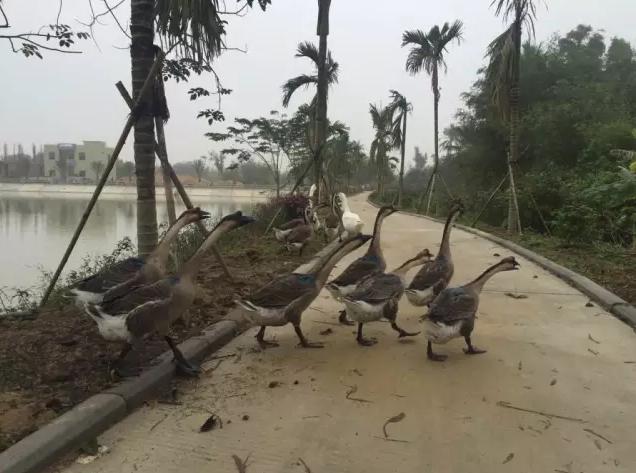 被遗忘的海南,海南被遗忘的浪漫之地