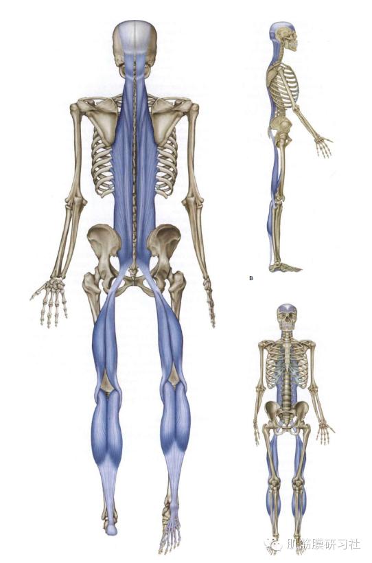 颈椎病国际康复训练,中医讲座颈椎病