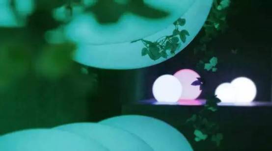 带你去天台看萤火虫,夏天最浪漫的事一起看萤火虫