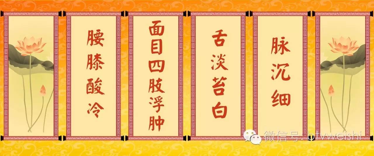 养生堂今日播出,养生堂五脏同调锻炼处方