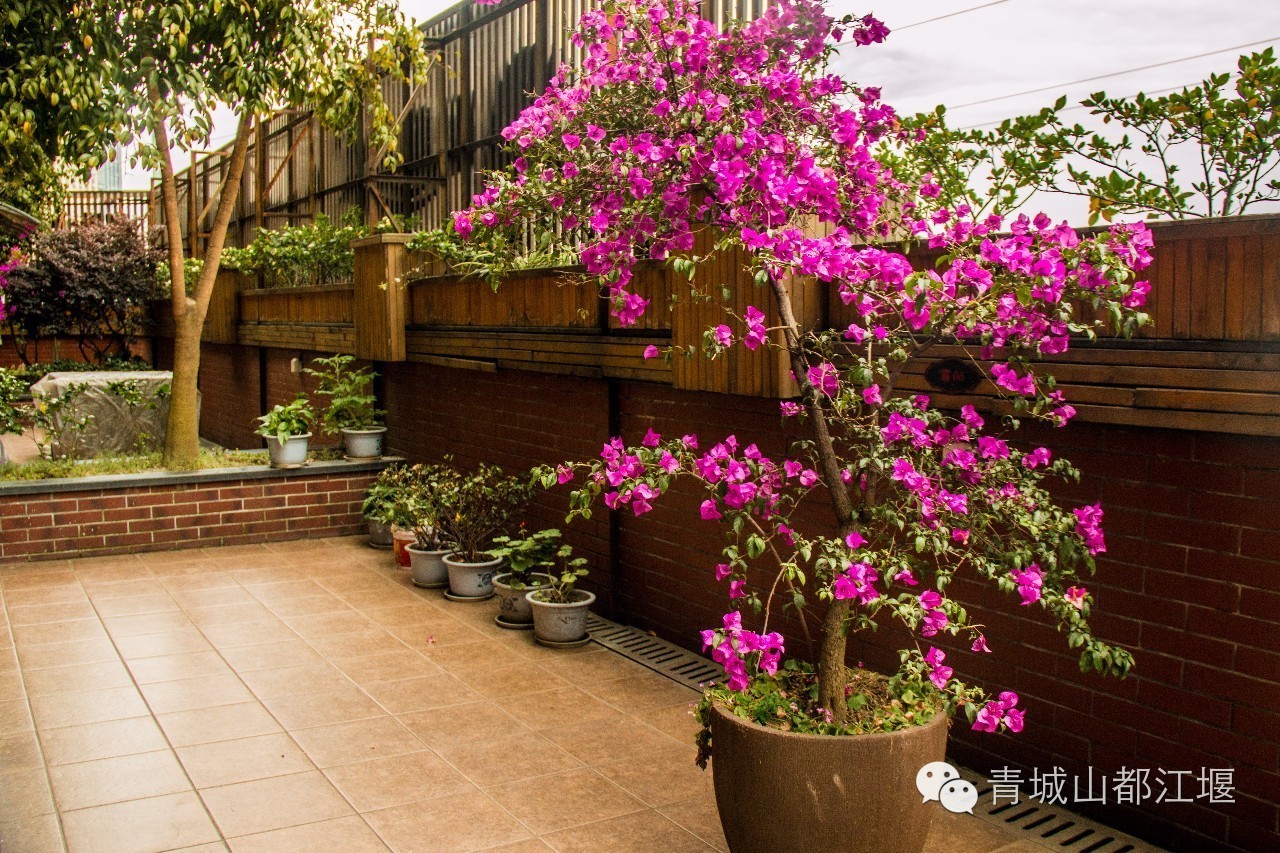 恍惚来到《好先生》中的“灰鲸”！在这家BIG满满的店，会不会