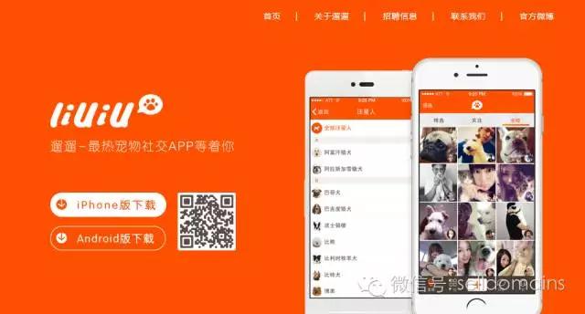 揭秘这个宠物网站获投千万元背后的故事？