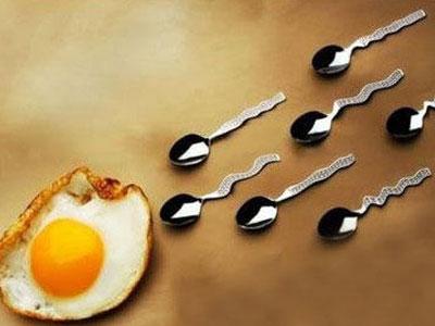 吃什么能提高“小蝌蚪”的活力？