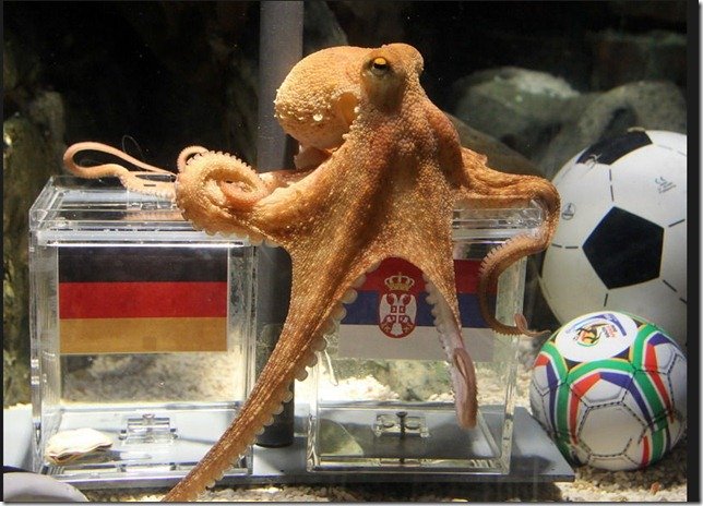 【TC上海现场报道】四次全中堪比章鱼保罗,冰鉴科技更进一步能预测进球数?