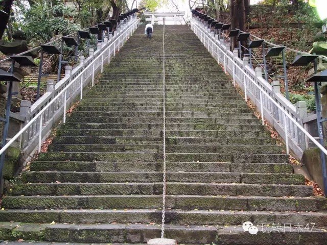 日本旅游攻略东京8天,最新日本旅游攻略一日游