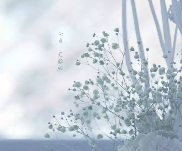 Hey，原来你是这样的小学期！|华广之声