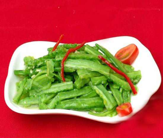 多肉植物怎么种才好看,如何种多肉植物才好看