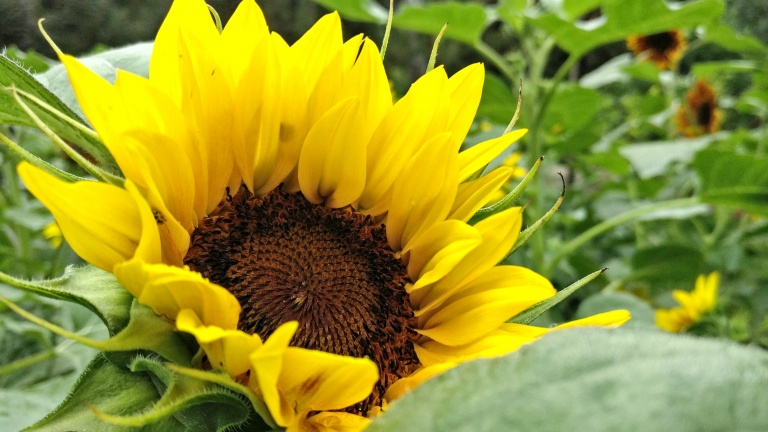 上手体验感好手机,上手体验好的手机