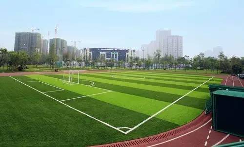 2016拍地王的原因,数据说话涨停板