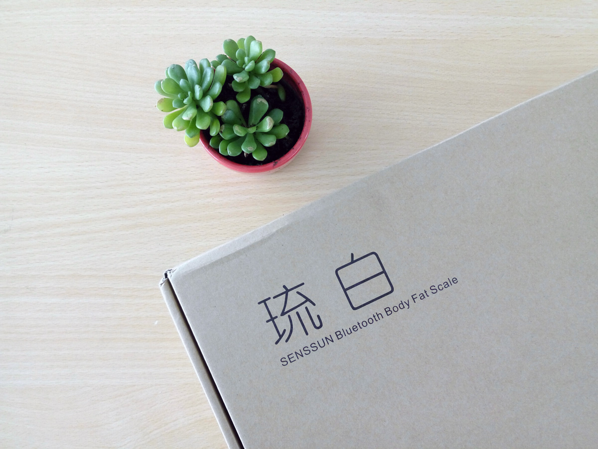 香山健康体脂秤,香山家庭用智能体脂秤